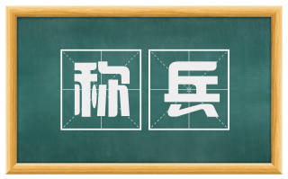 称兵