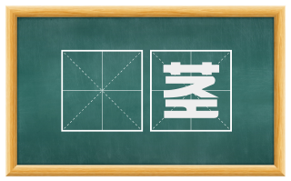 赪茎