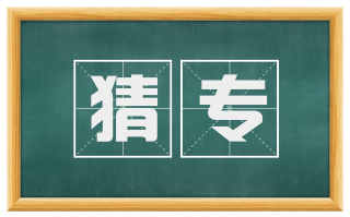 猜专