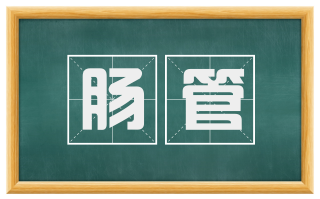 肠管