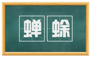 蝉蜍