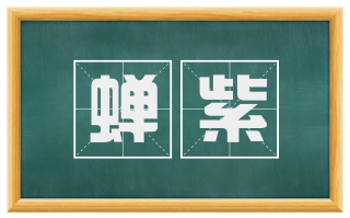 蝉紫