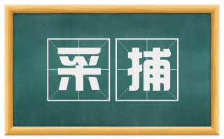 采捕