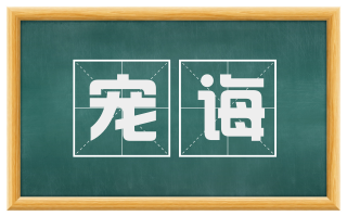 宠诲
