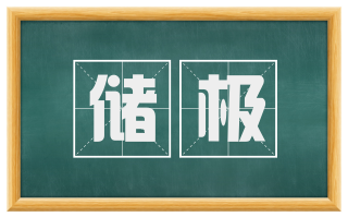 储极
