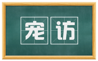 宠访