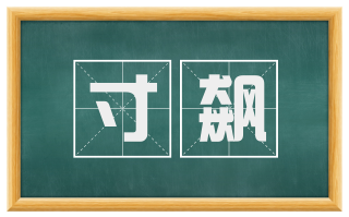 寸飙