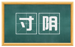 寸阴