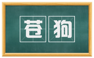 苍狗