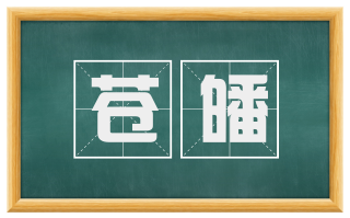苍皤