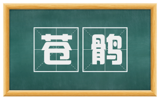 苍鹘