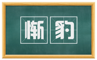 惭豹