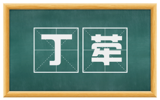 丁荦