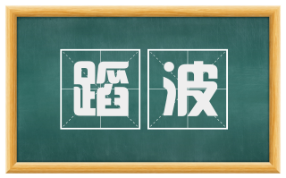 蹈波