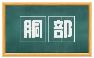 胴部
