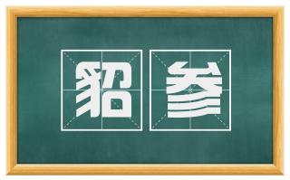 貂参