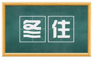 冬住