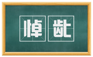 悼龀