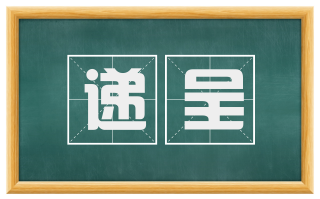 递呈