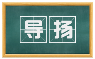 导扬