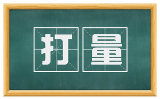 打量