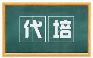 代培