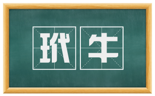 玳牛