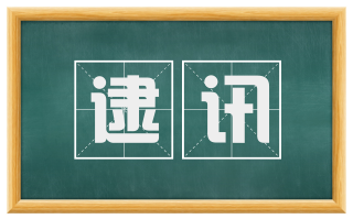 逮讯