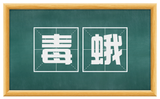 毒蛾