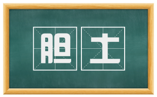 胆土