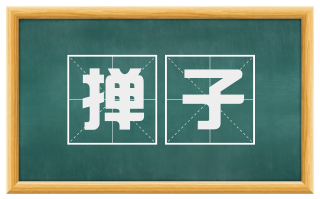 掸子