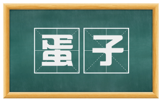 蛋子