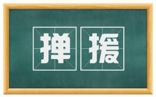 掸援