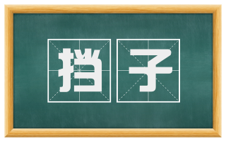 挡子