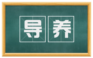 导养