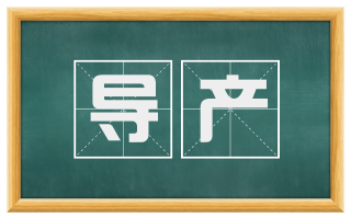 导产