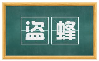 盗蜂