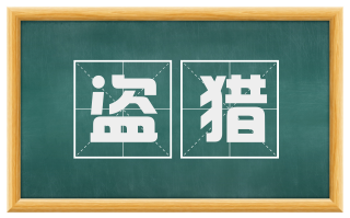 盗猎