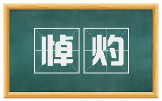 悼灼
