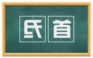氐首