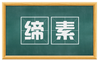 缔素