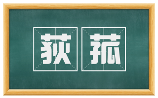 荻菰