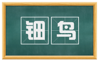 钿鸟