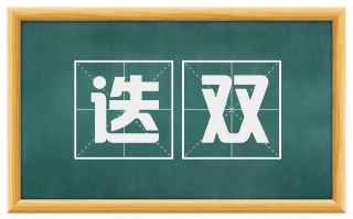 迭双