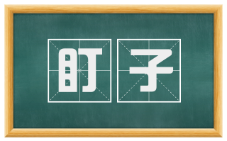 盯子