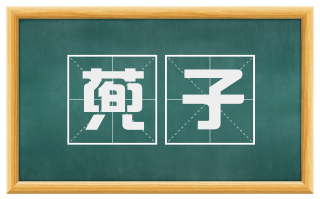 蔸子