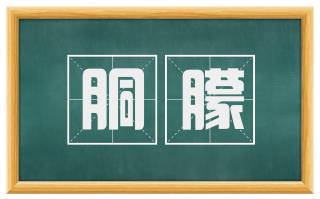 胴朦