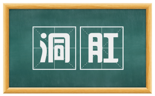 洞肛