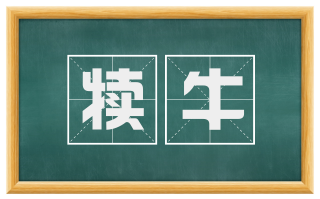 犊牛
