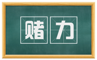 赌力
